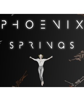 Phoenix Springs Steam Key GLOBAL